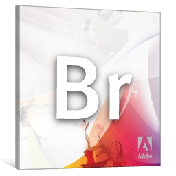 Adobe Bridge CS3 Icon 256x256 png